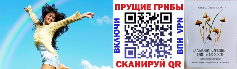 Псилоцибиновые грибы прущие грибы  закладки  Канаш 