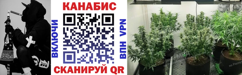 МАРИХУАНА ГИДРОПОН Канаш